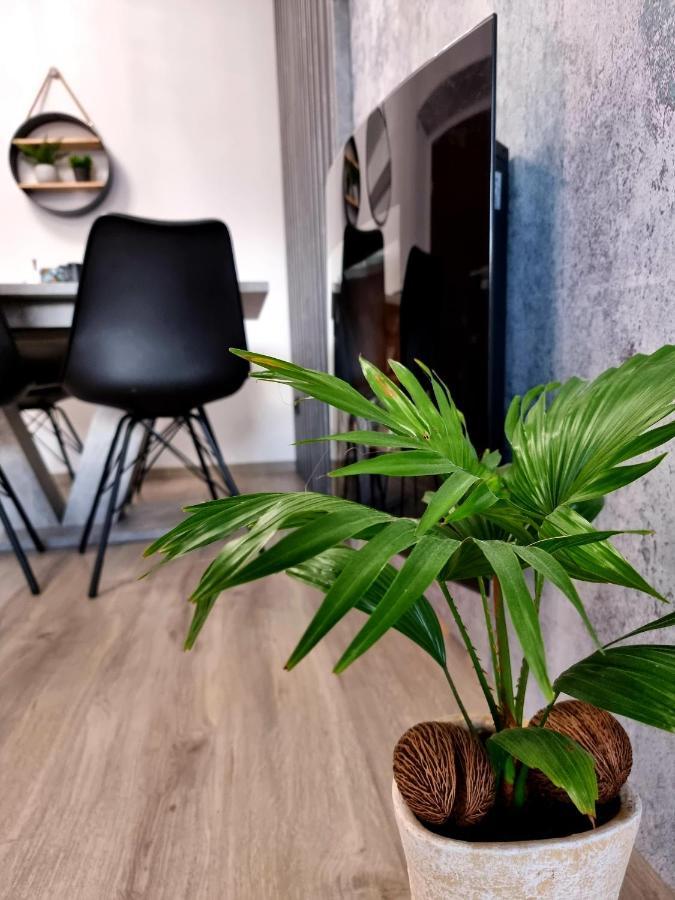 Apartament Jelonek W Karkonoszach Jelenia Gora Bagian luar foto