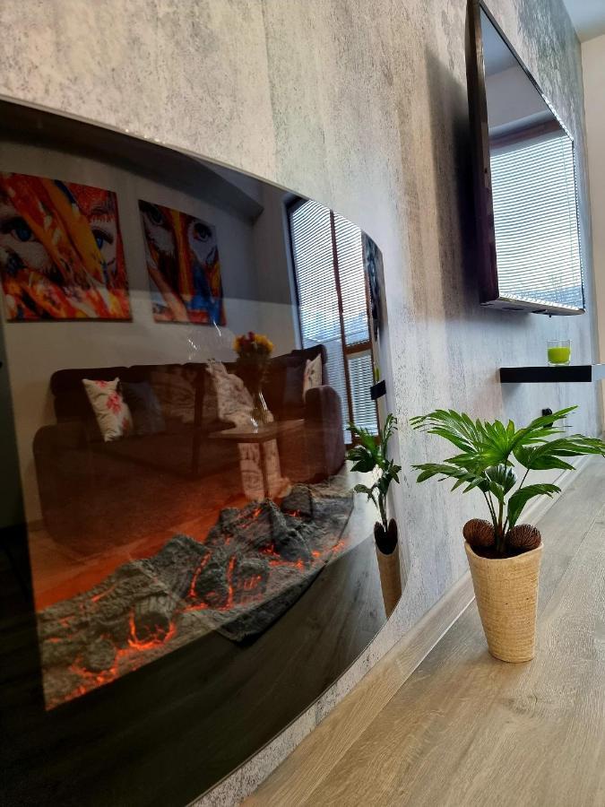 Apartament Jelonek W Karkonoszach Jelenia Gora Bagian luar foto